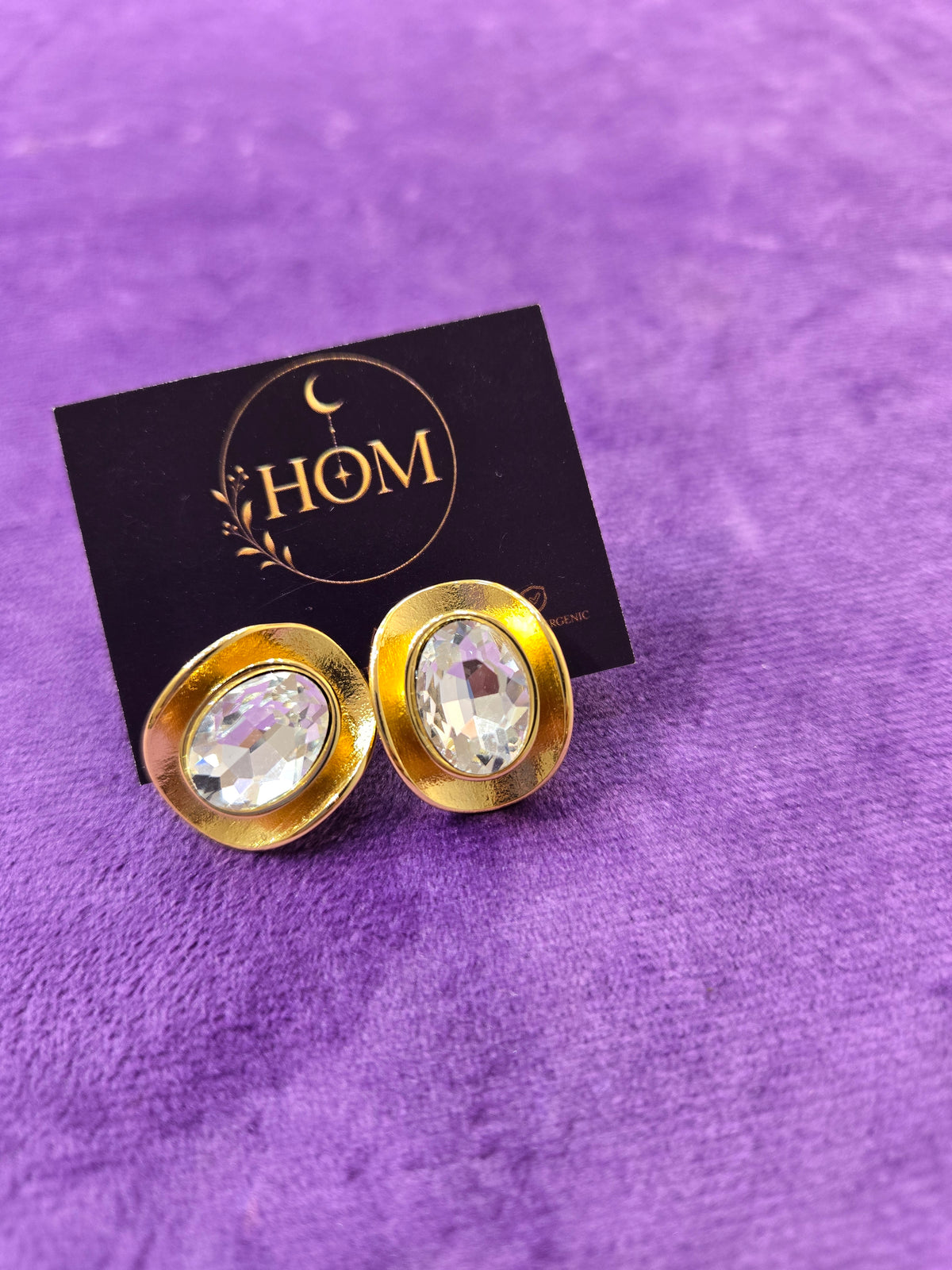 Main character earrings | Stainless Steel | Anti Tarinish