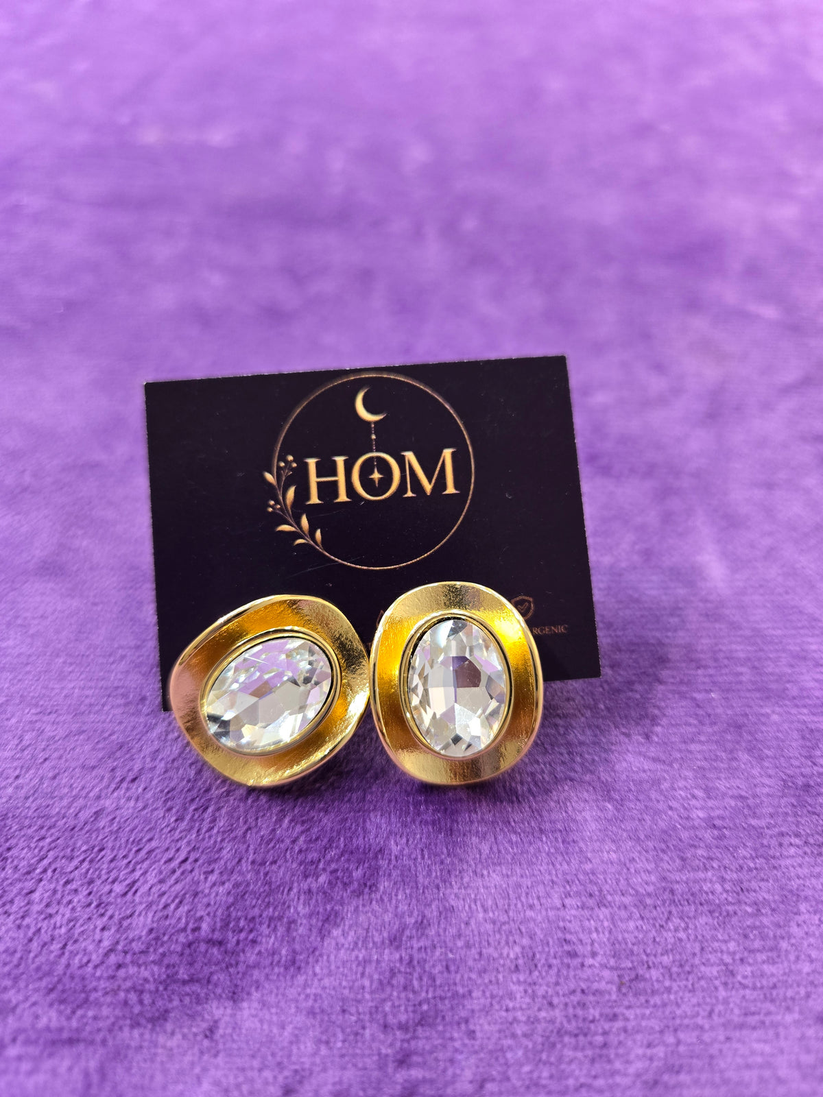 Main character earrings | Stainless Steel | Anti Tarinish